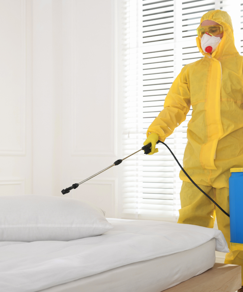 Professional Pest Control Team in Cumberland Park